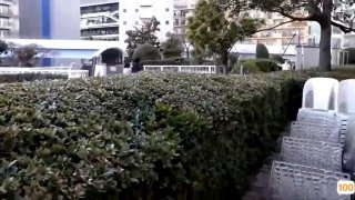 乐佳思绿帽奴的最爱。舔绿主跟老婆的交合处。